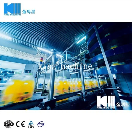 Beverag Packing Machine