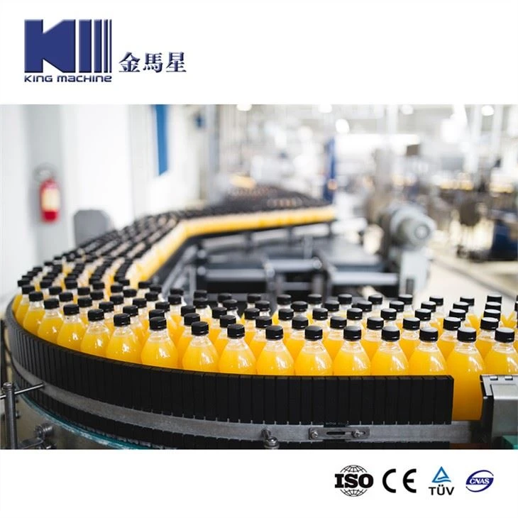 Automaitc Juice Washing Filling Capping 3 in 1 Comlpete Production Line